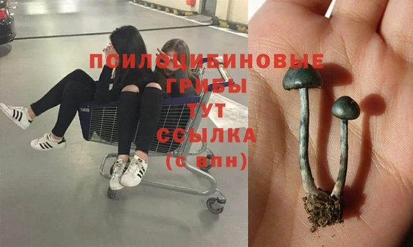 молекула духа Беломорск