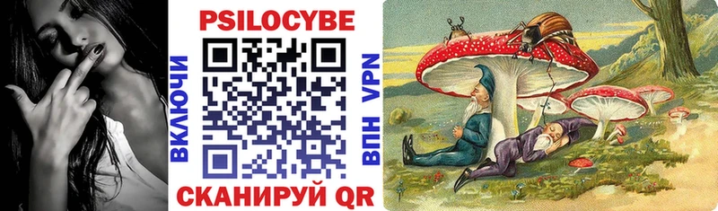 Псилоцибиновые грибы Psilocybine cubensis  Мглин 